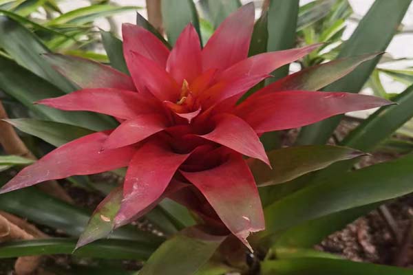 沈陽(yáng)消防施工持證上崗制度